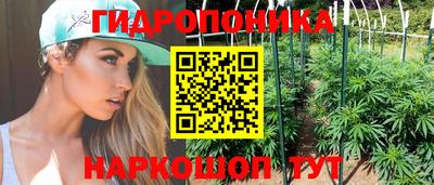 стафф Можга