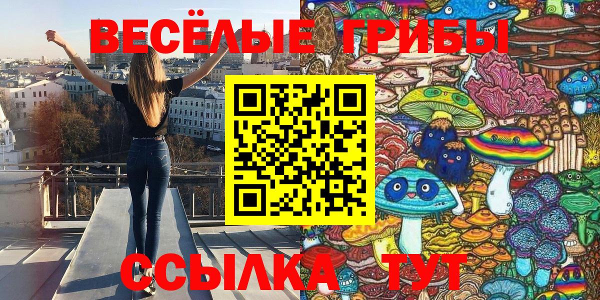 Электрогорск  хочу   Вход с VPN  Галлюциногенные грибы Psilocybine cubensis 